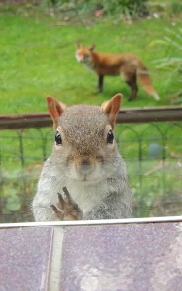 Picdump 189 - #57 