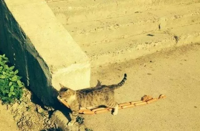 Picdump 189 - #60 