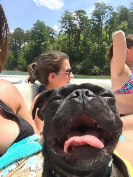 Picdump 189 - #81 