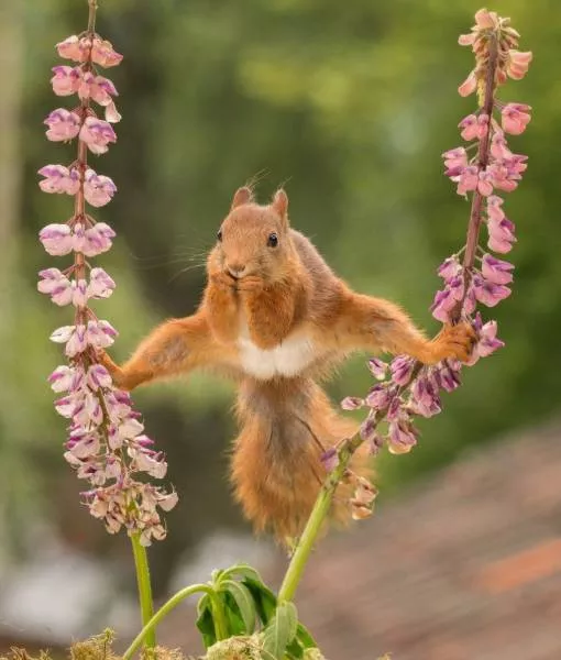 Picdump 189 - #87 