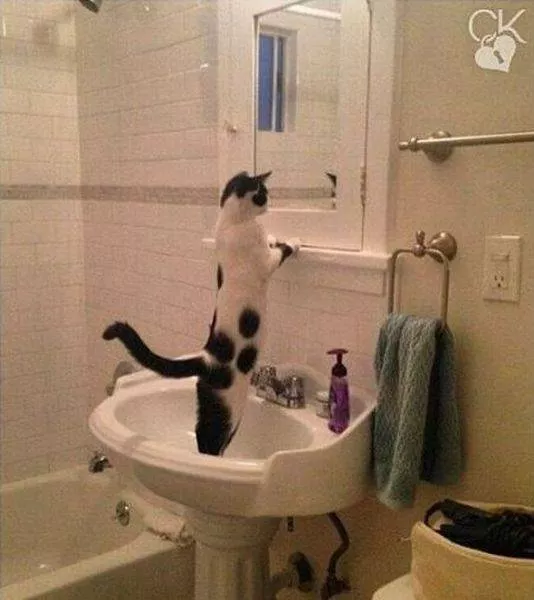 Picdump 189 - #90 