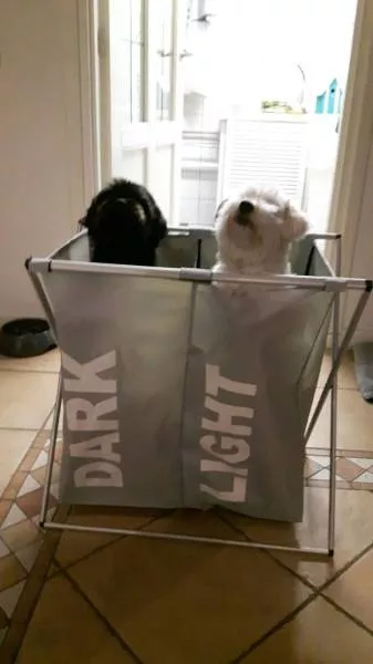 Picdump 189 - #91 