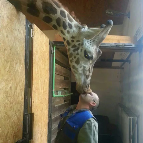 You dont see this everyday - #15 