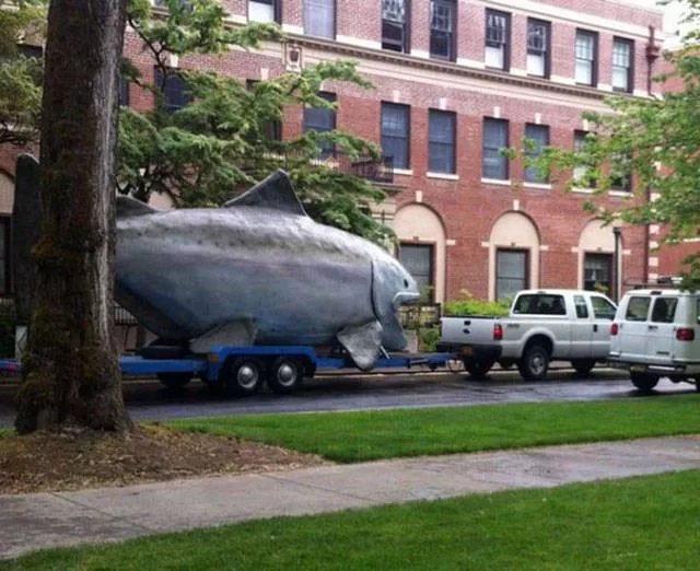 You dont see this everyday - #26 