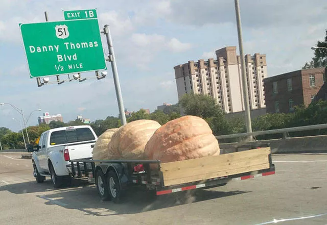 You dont see this everyday - #37 