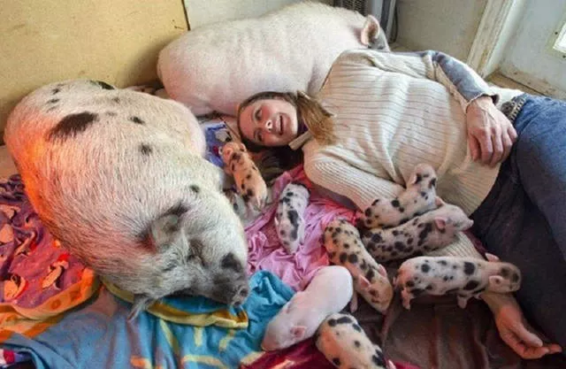 41 most unusual pets you can have - #13 