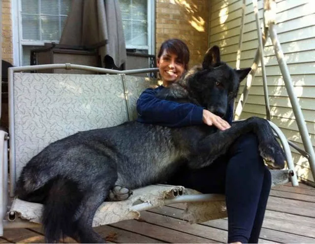 41 most unusual pets you can have - #14 
