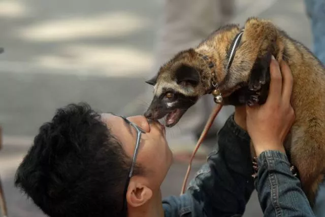 41 most unusual pets you can have - #16 