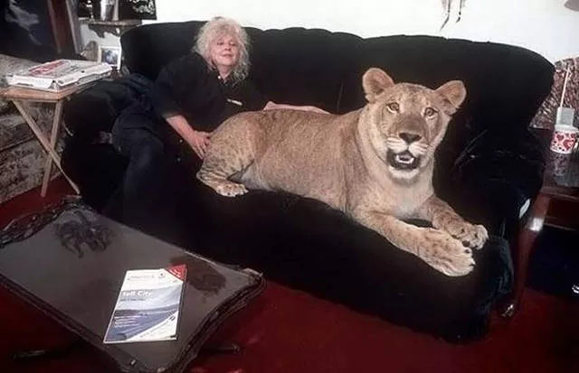 41 most unusual pets you can have - #24 