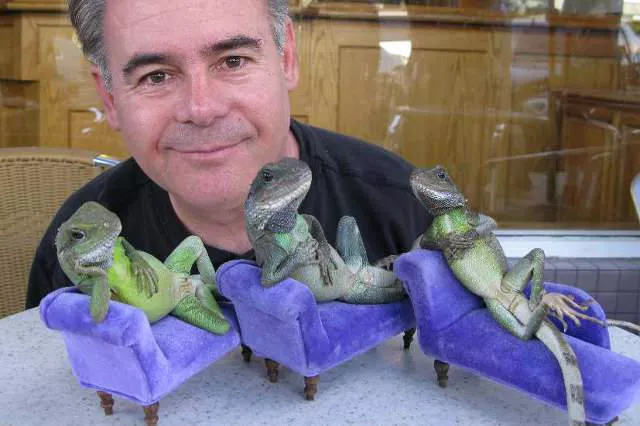 41 most unusual pets you can have - #26 