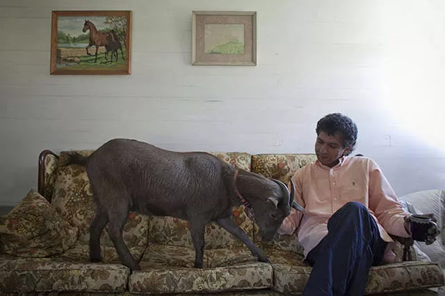 41 most unusual pets you can have - #27 
