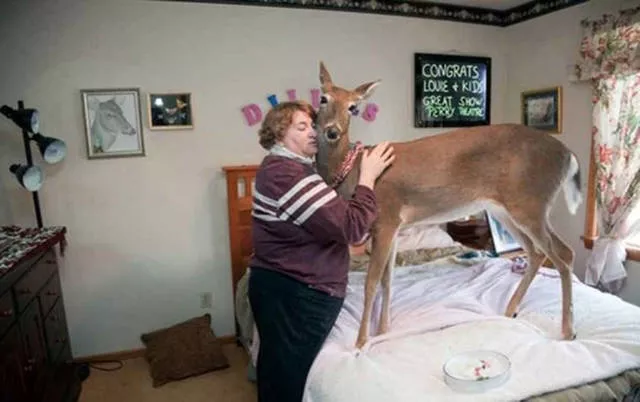41 most unusual pets you can have - #7 