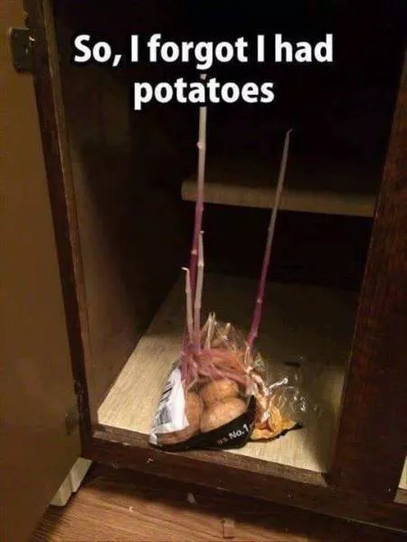 Picdump 190 - #3 