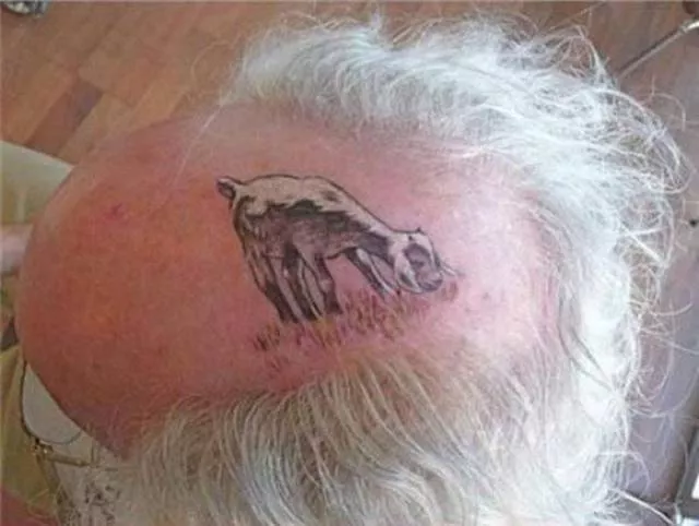 Picdump 26 - #4 
