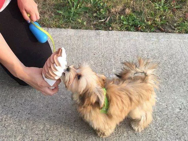 Picdump 191 - #27 