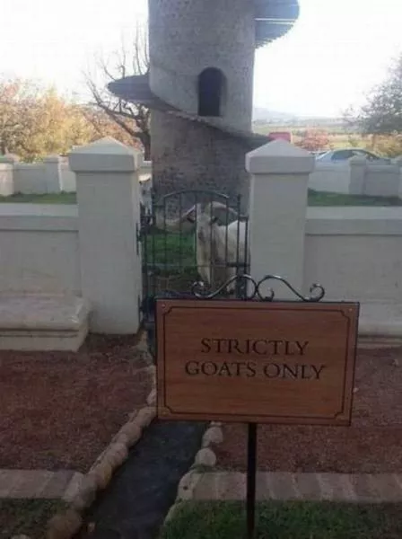 Picdump 191 - #60 
