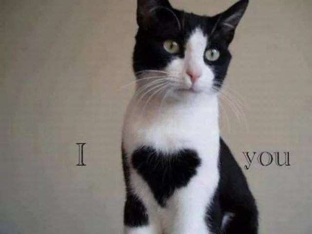 Picdump 191 - #88 