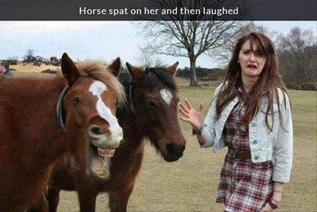 Picdump 191 - #91 