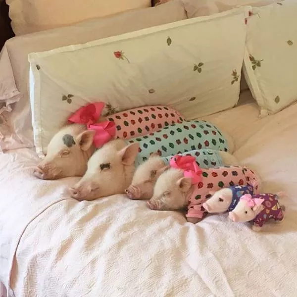 Picdump 192 - #25 