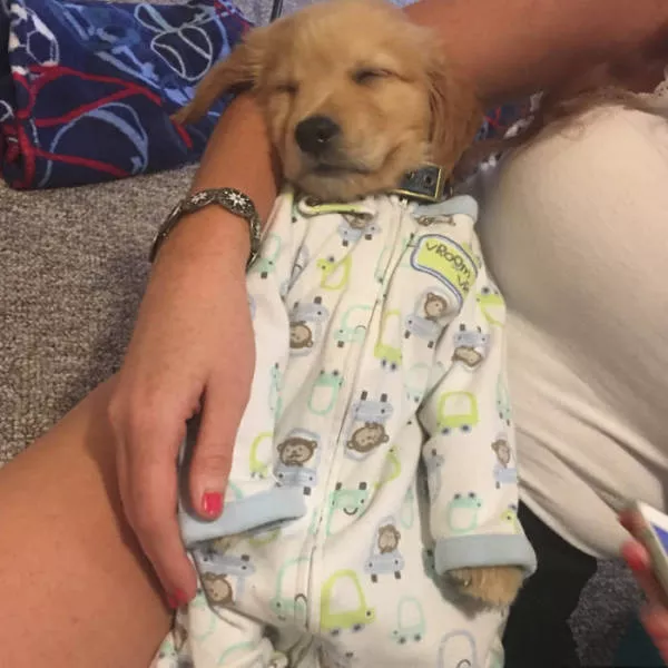 Picdump 192 - #50 