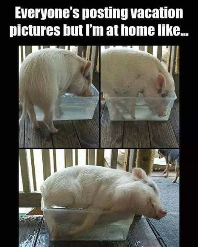 Picdump 192 - #63 