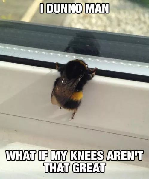 Picdump 192 - #66 