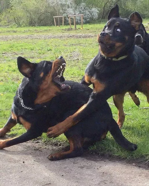 Picdump 192 - #82 