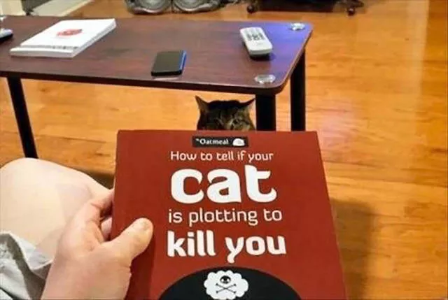 Picdump 192 - #86 