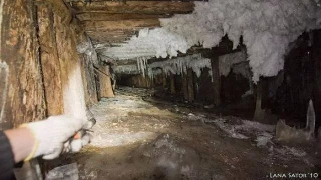 Voir ce qui est cache dans cette petite cabane - #17 