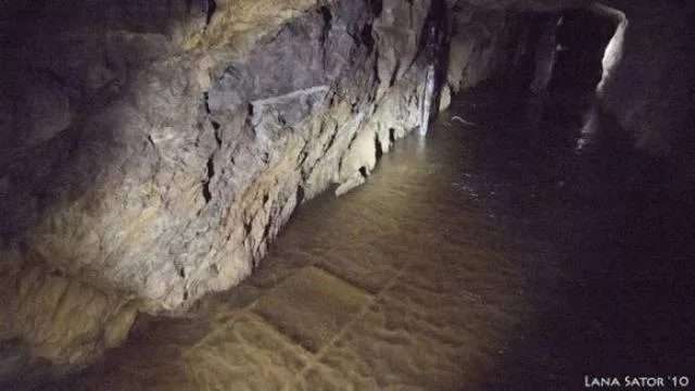 Voir ce qui est cache dans cette petite cabane - #8 