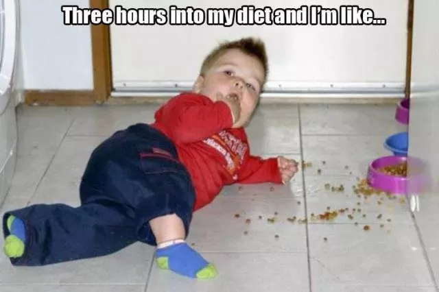 Picdump 193 - #101 
