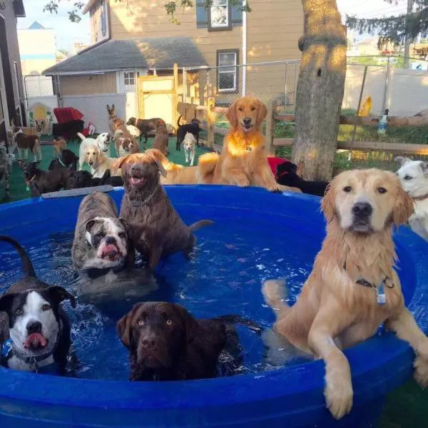 Picdump 193 - #24 