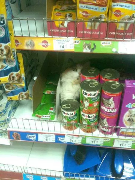 Picdump 193 - #70 