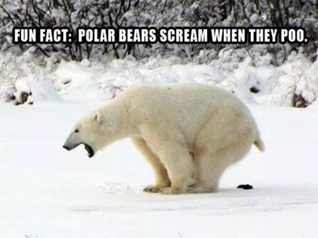 Some of lowbrow humor - #13 