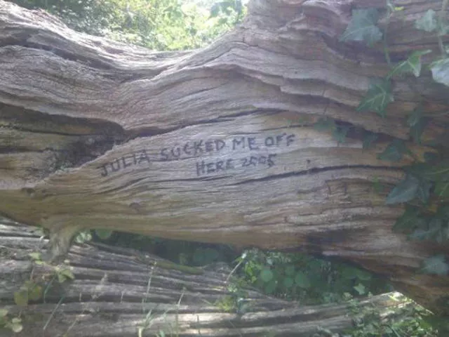 Some of lowbrow humor - #16 