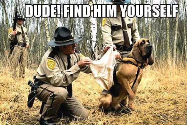 Some of lowbrow humor - #33 