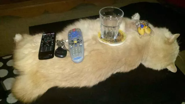 Picdump 194 - #10 