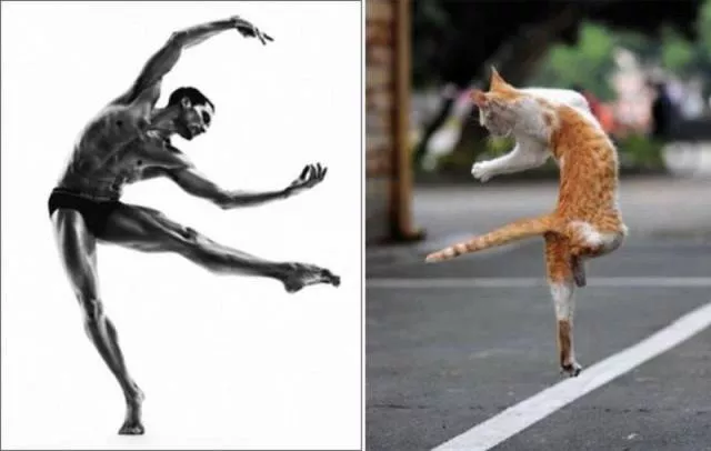 Picdump 194 - #14 