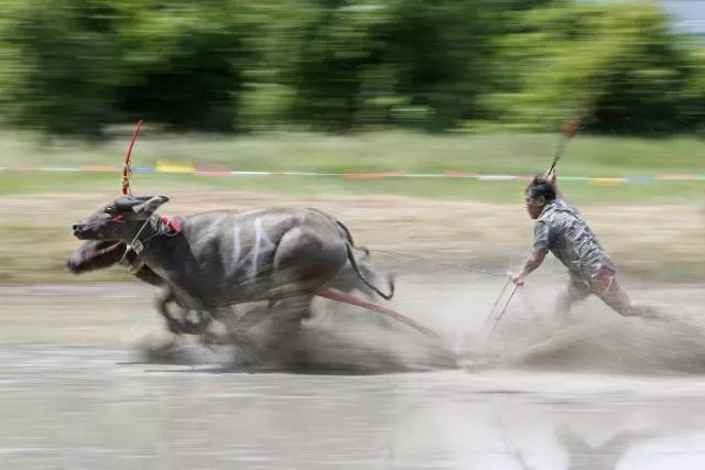 Picdump 194 - #55 