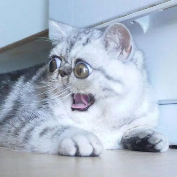 Picdump 194 - #66 