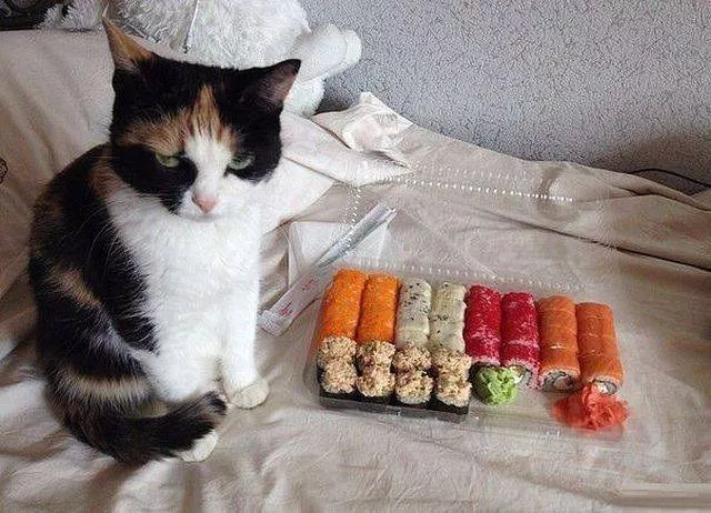 Picdump 194 - #67 