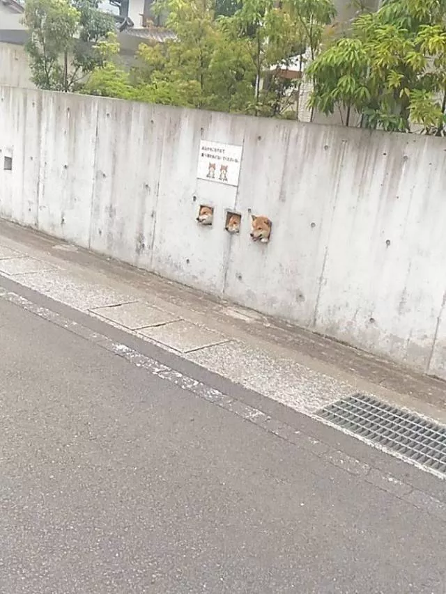 Picdump 194 - #70 
