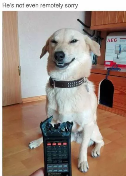 Picdump 194 - #72 