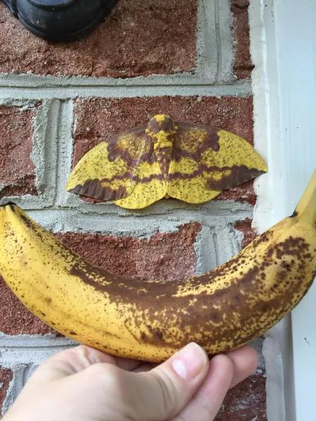 Picdump 194 - #76 