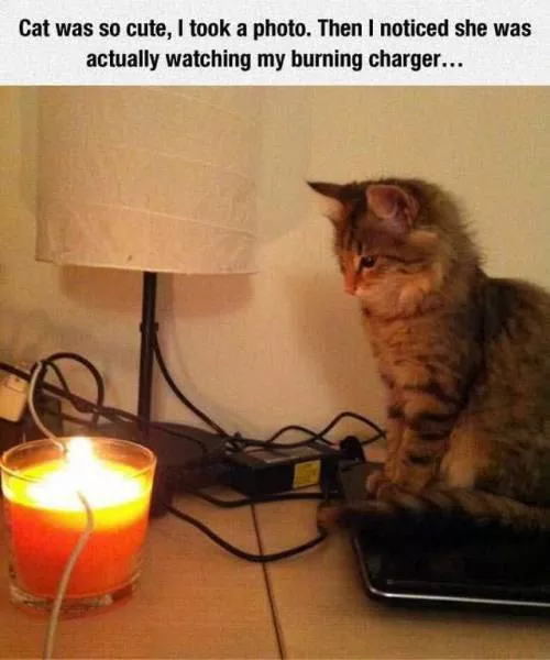 Picdump 194 - #94 