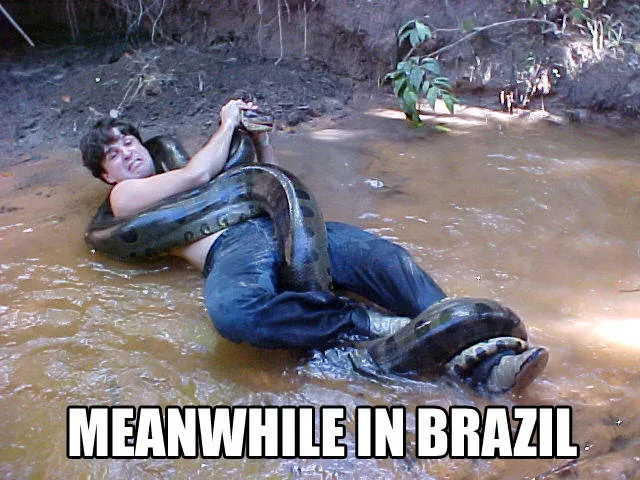 Welcome to brazil culture nature and passion - #18 