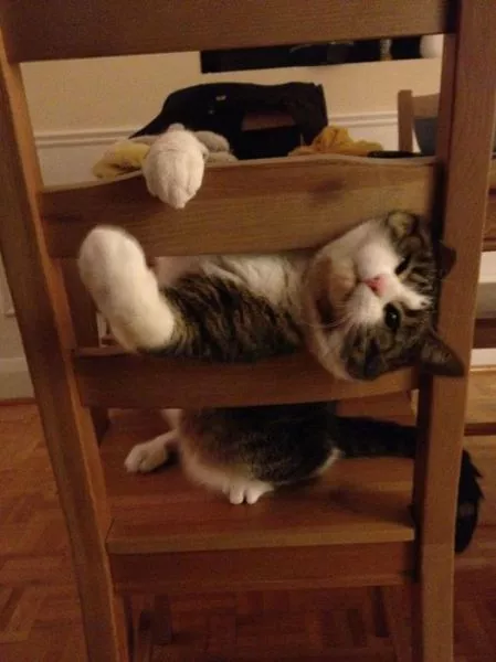 They are always cutes - #3 