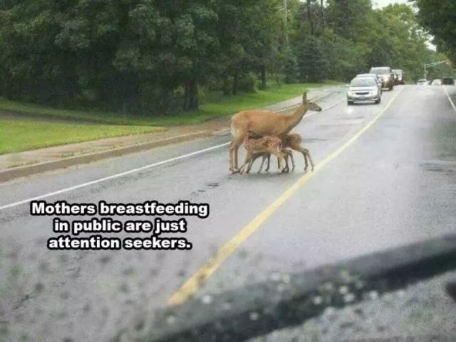 Picdump 195 - #30 