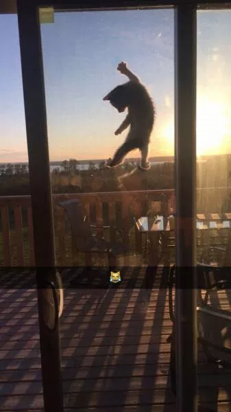 Picdump 195 - #37 