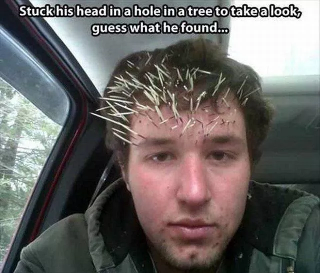 Picdump 195 - #38 